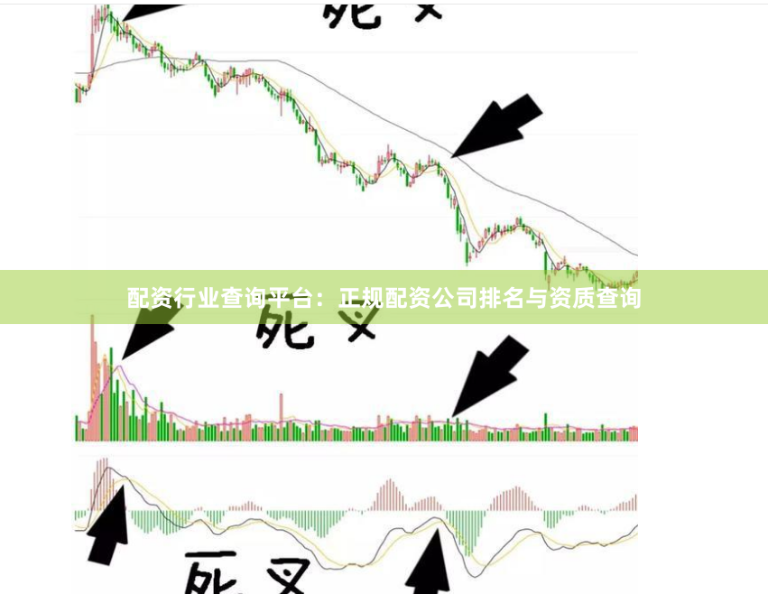 配资行业查询平台：正规配资公司排名与资质查询